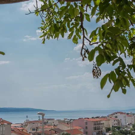Strawberry Makarska