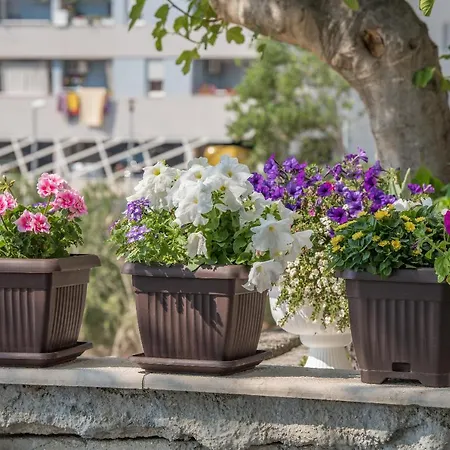 Διαμέρισμα Strawberry