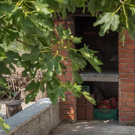 Strawberry * Makarska