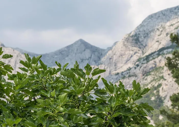 Appartement Strawberry *