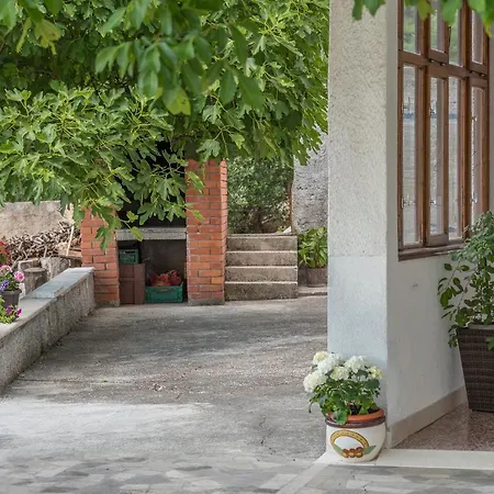 Strawberry מאקרסקה